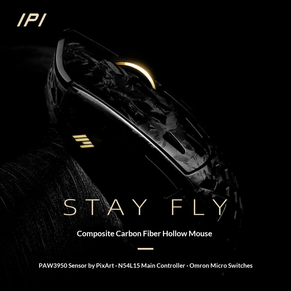 IPI FLY Carbon Fiber Kabellose – Esports Gaming Mouse Wireless Bewertung und Preis